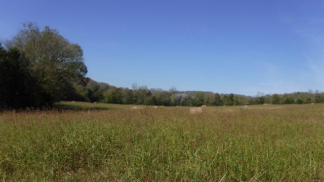 65 Dry Branch Road Alexandria, TN 37012 - Photo 18 of 30 a view of lake and mountain
