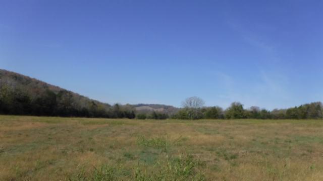 65 Dry Branch Road Alexandria, TN 37012 - Photo 19 of 30 a view of lake and mountain
