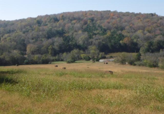 65 Dry Branch Road Alexandria, TN 37012 - Photo 3 of 30 a view of a yard