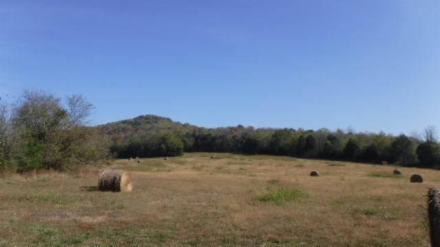 65 Dry Branch Road Alexandria, TN 37012 - Photo 22 of 30 a view of a field with a tree in the background
