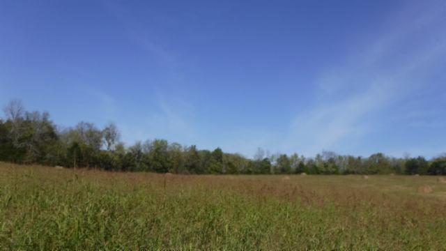 65 Dry Branch Road Alexandria, TN 37012 - Photo 23 of 30 a view of lake and mountain view