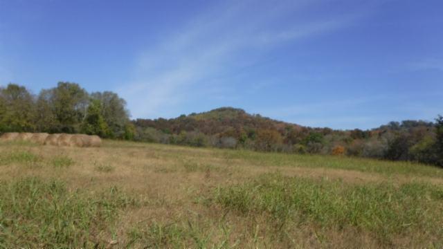 65 Dry Branch Road Alexandria, TN 37012 - Photo 24 of 30 a view of mountain with lake view