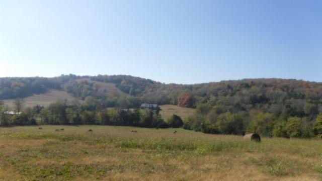 65 Dry Branch Road Alexandria, TN 37012 - Photo 26 of 30