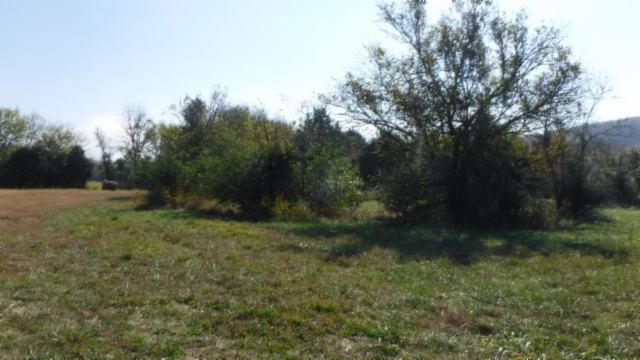 65 Dry Branch Road Alexandria, TN 37012 - Photo 28 of 30 a view of outdoor space and yard