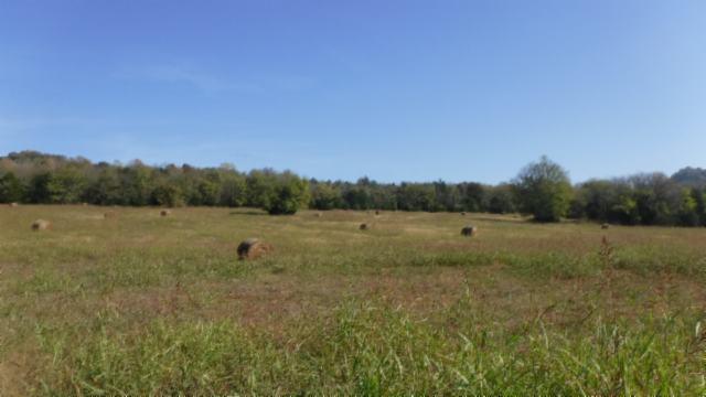 65 Dry Branch Road Alexandria, TN 37012 - Photo 29 of 30 a view of a lake with houses in the back
