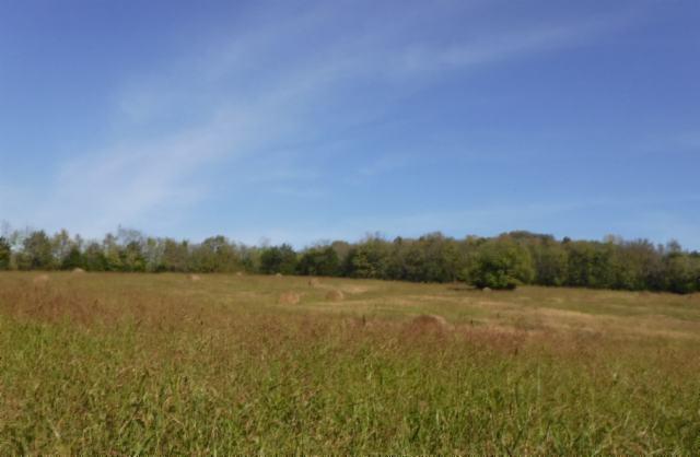 65 Dry Branch Road Alexandria, TN 37012 - Photo 6 of 30 a view of mountain with lake view and mountain view