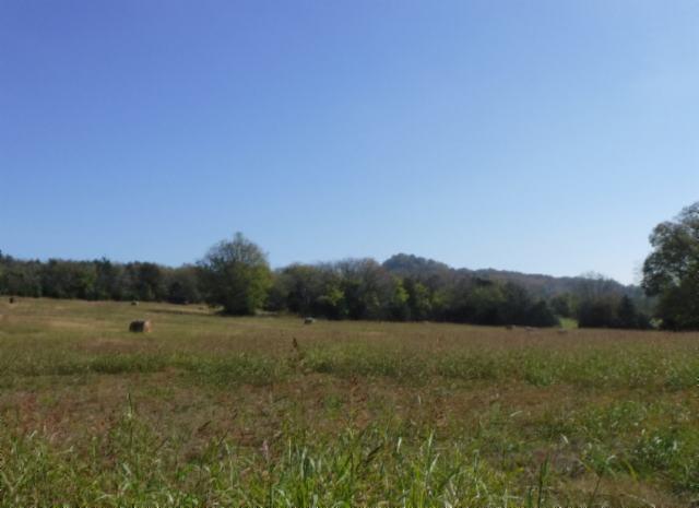 65 Dry Branch Road Alexandria, TN 37012 - Photo 7 of 30 a view of a field with outside area