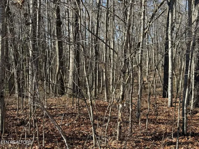 $29,900 | Georgee Road, Jamestown, TN 38556