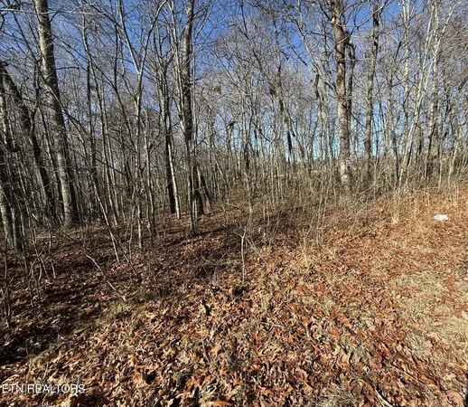 $29,900 | Georgee Road, Jamestown, TN 38556