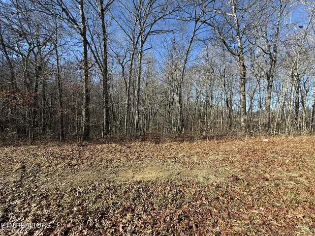 $29,900 | Georgee Road, Jamestown, TN 38556