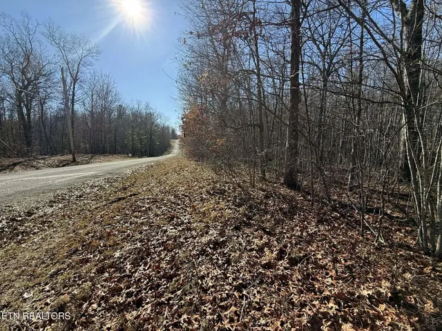 $29,900 | Georgee Road, Jamestown, TN 38556