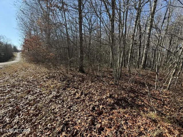 $29,900 | Georgee Road, Jamestown, TN 38556