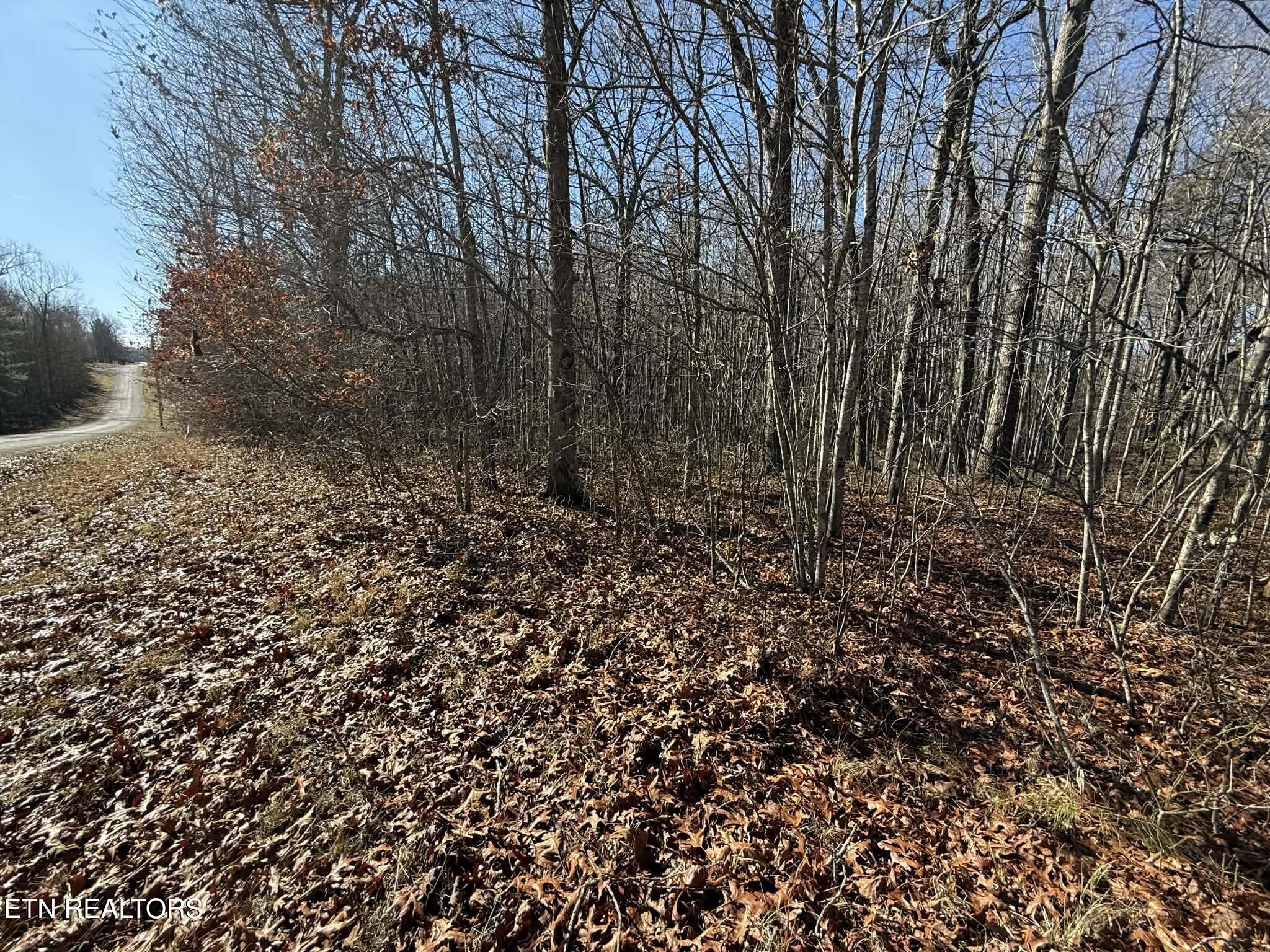 Georgee Road Jamestown, TN 38556 - Photo 6 of 13 66847c83-9c41-4f4f-928a-ab4251421482 (1)