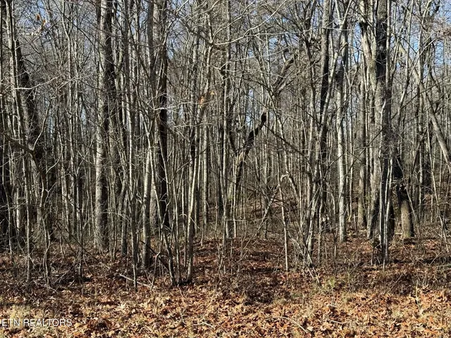 $29,900 | Georgee Road, Jamestown, TN 38556