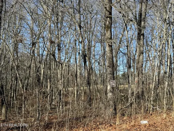 $29,900 | Georgee Road, Jamestown, TN 38556