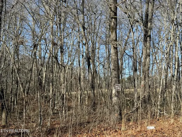 $29,900 | Georgee Road, Jamestown, TN 38556