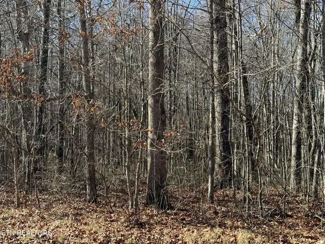 $29,900 | Georgee Road, Jamestown, TN 38556