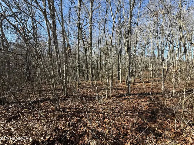 $29,900 | Georgee Road, Jamestown, TN 38556