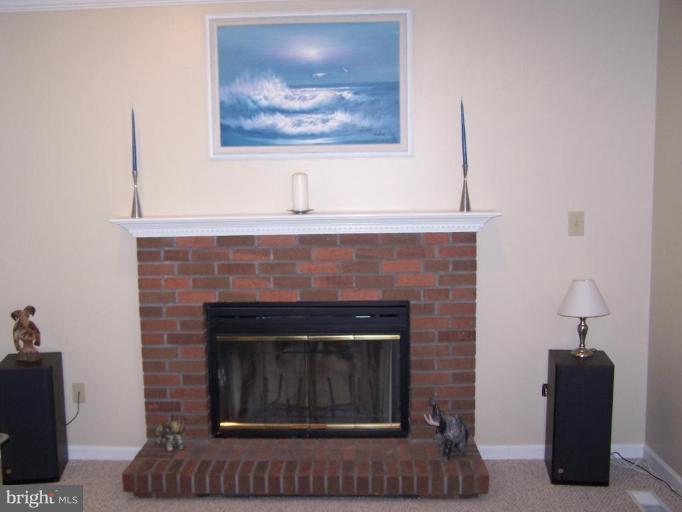 3214 Magnolia Ridge Road Annapolis, MD 21403 - Photo 4 of 21 Fireplace
