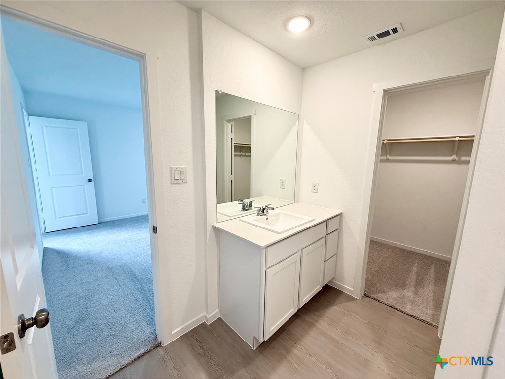311 Moscato Road New Braunfels, TX 78130 - Photo 17 of 38 a bathroom with a sink and mirror with shower