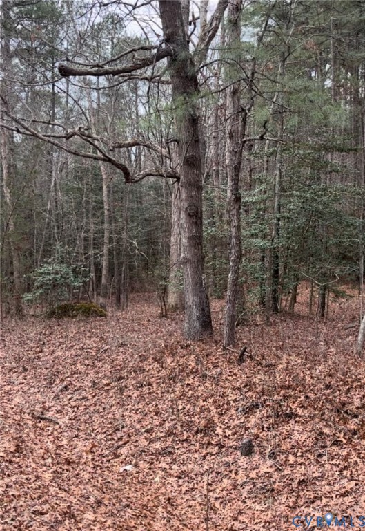 0 South Crater Road Petersburg, VA 23803 - Photo 1 of 1 a backyard of a house with lots of green space
