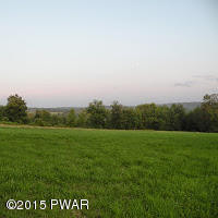 Ayoub Road Pleasant Mount, PA 18453 - Photo 4 of 8
