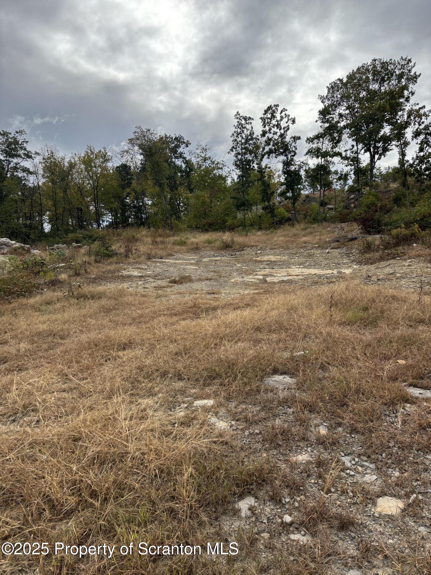 Lot # Railroad Street Moosic, PA 18507 - Photo 4 of 15