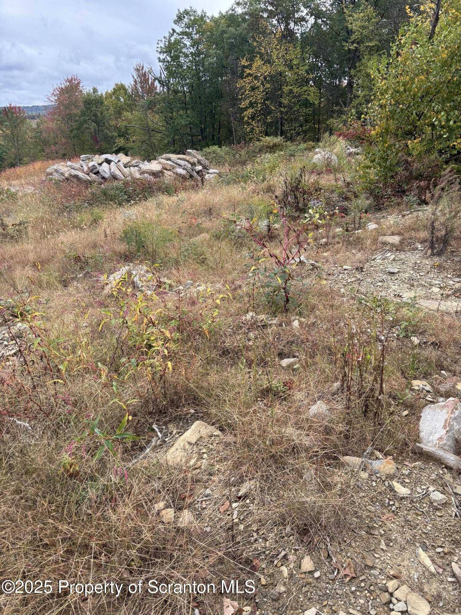 Lot # Railroad Street Moosic, PA 18507 - Photo 5 of 15 a view of a yard with a tree