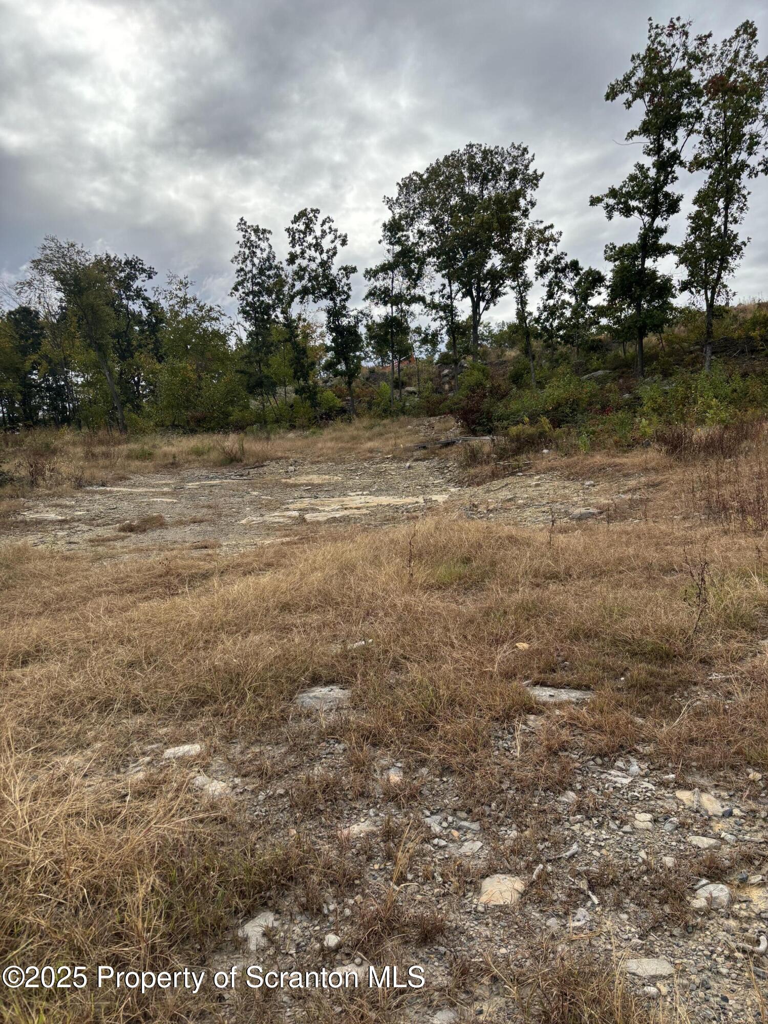 Lot # Railroad Street Moosic, PA 18507 - Photo 7 of 15 a view of a field of grass and trees