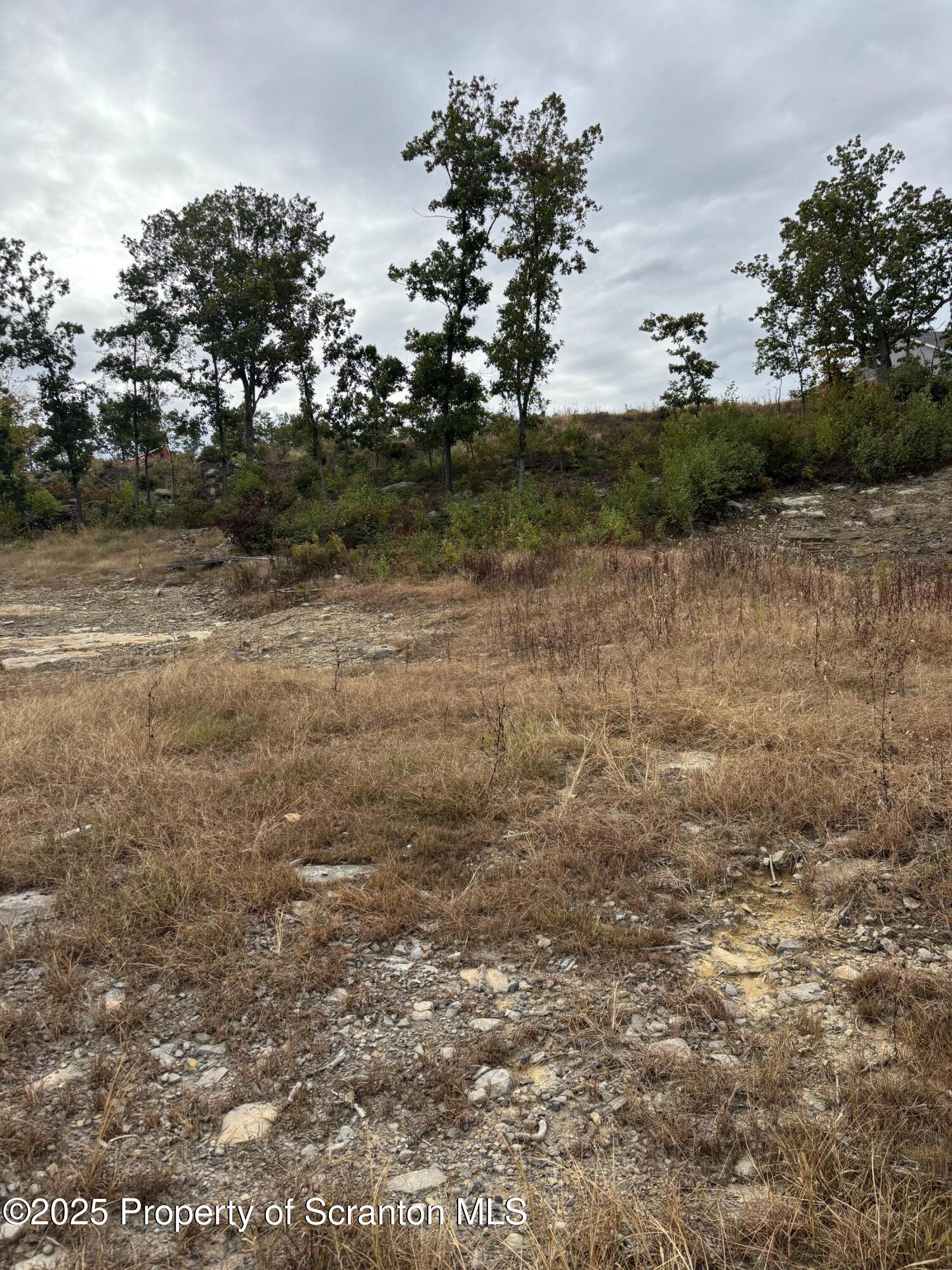Lot # Railroad Street Moosic, PA 18507 - Photo 10 of 15 a view of a lake view