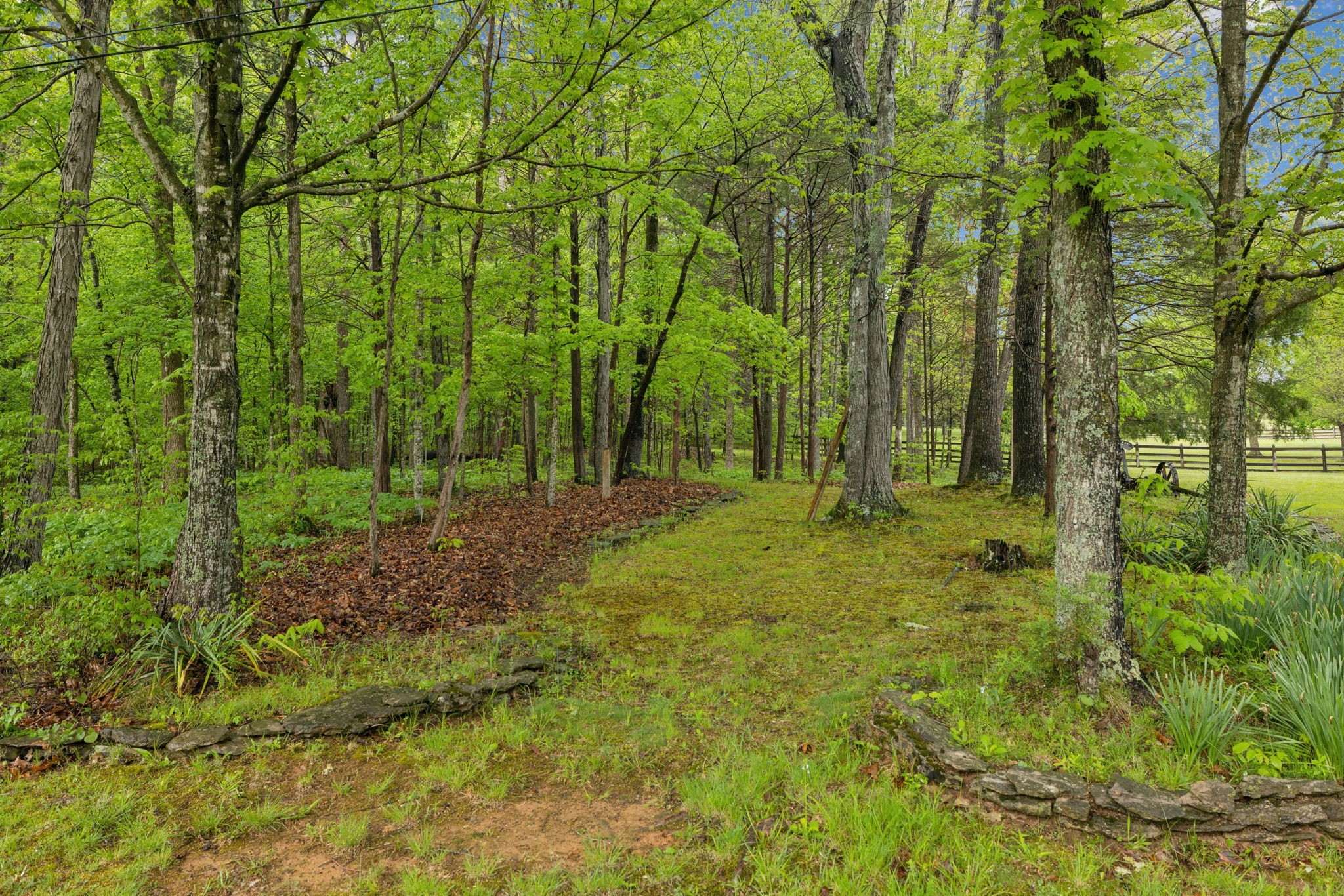 4840 Pyles Road Chapel Hill, TN 37034 - Photo 22 of 65 Gallery Image 22