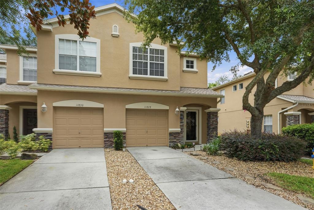 11828 Castine Street New Port Richey, FL 34654 - Photo 1 of 36