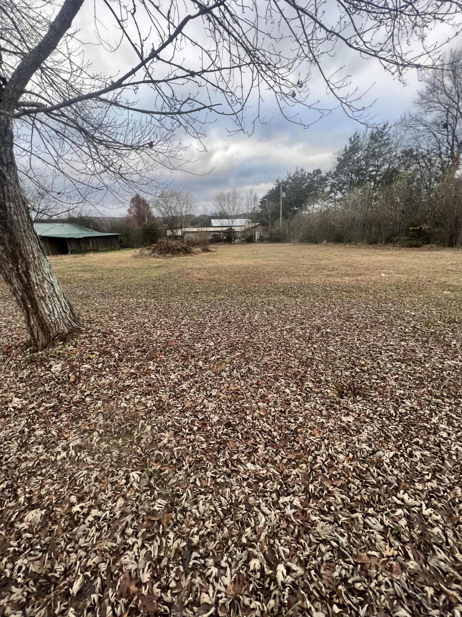 13341 Highway 58 Decatur, TN 37322 - Photo 10 of 32 DEF839A5-E9C7-4F4F-9973-4C7470CDFEE7