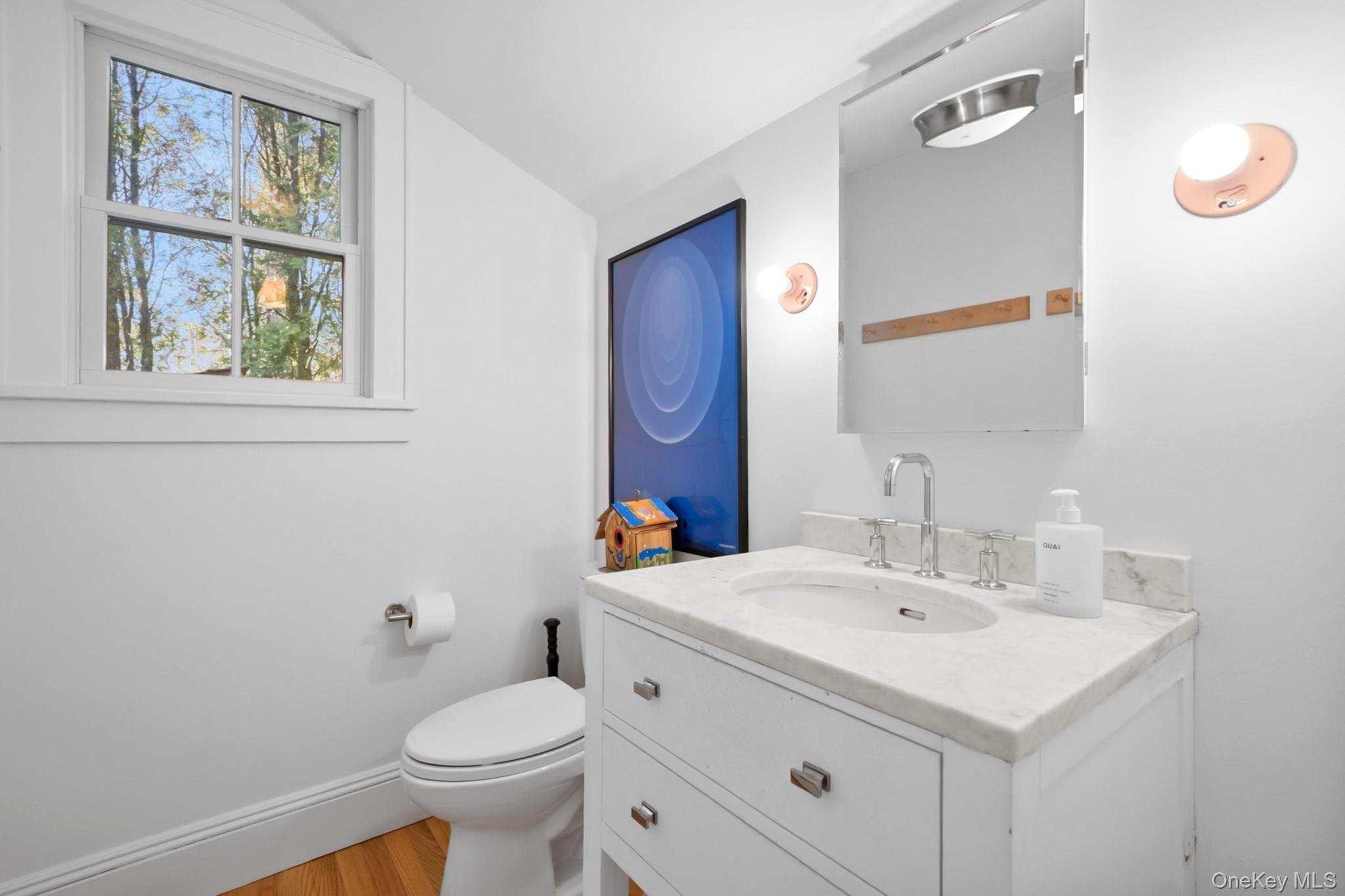 36 South Howells Point Road Bellport, NY 11713 - Photo 17 of 29 a bathroom with a sink toilet and mirror