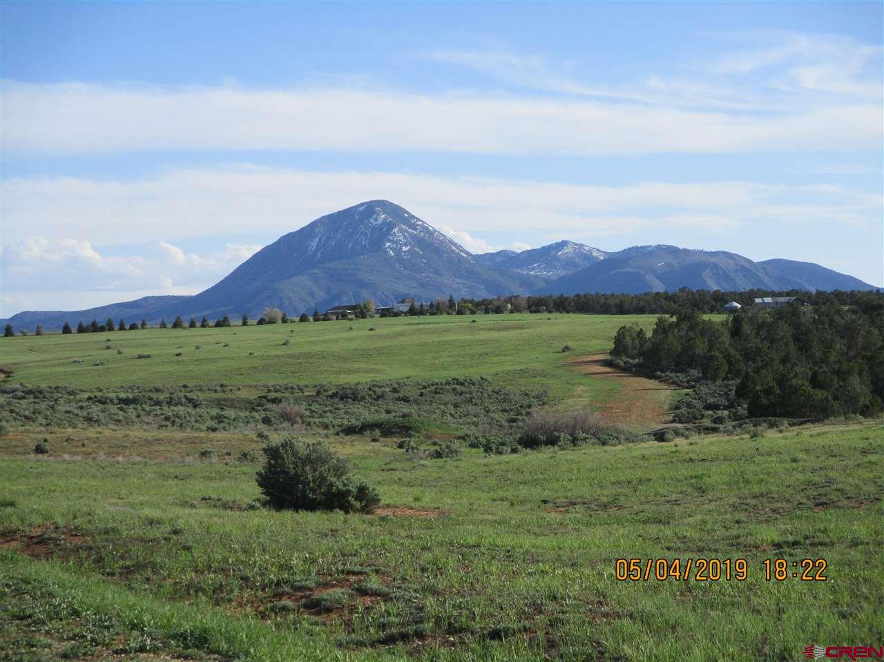 Lot 12 Road 17.9 Cortez Co 81321 Cortez, CO 81321 - Photo 17 of 21 a view of mountain with outdoor and green space