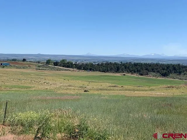 a view of an ocean and beach