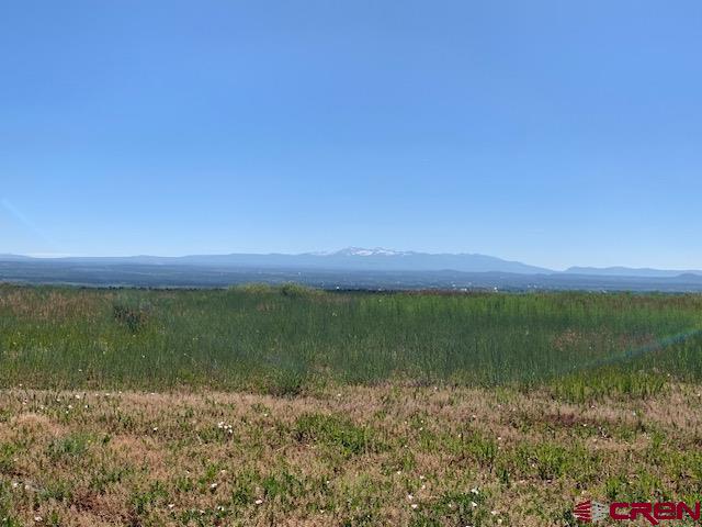 Lot 12 Road 17.9 Cortez Co 81321 Cortez, CO 81321 - Photo 2 of 21 a view of an ocean and beach