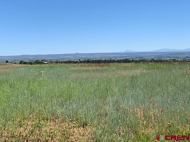 Lot 12 Road 17.9 Cortez Co 81321 Cortez, CO 81321 - Photo 3 of 21 a view of a lake and a mountain