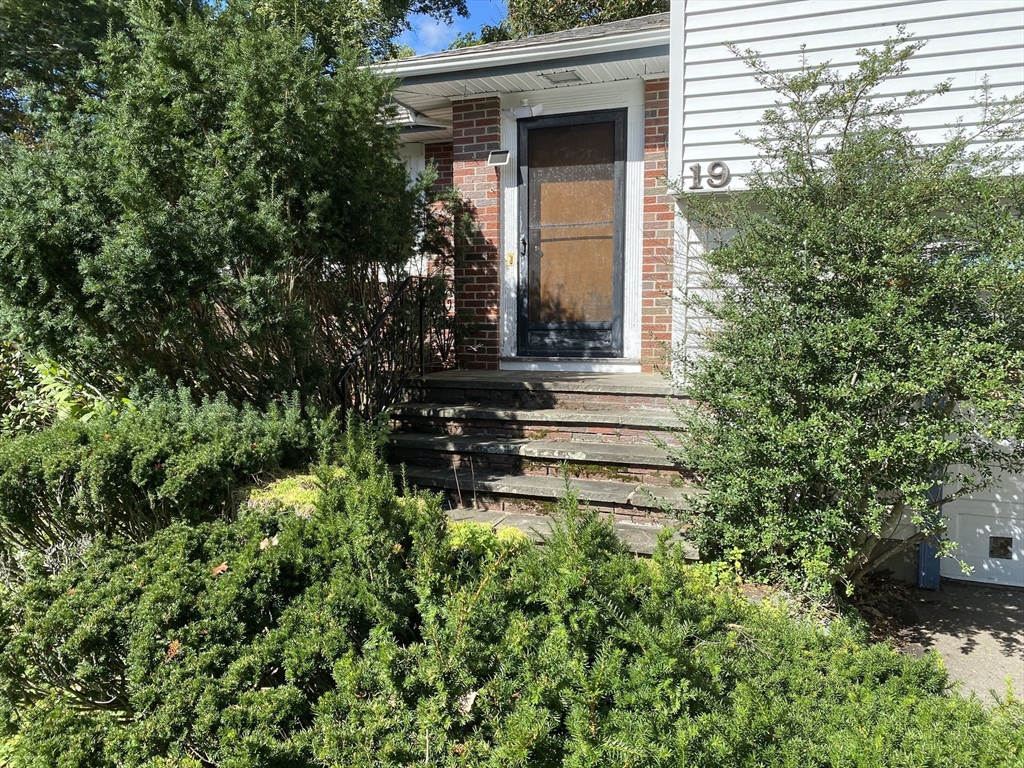 19 Cynthia Road Canton, MA 02021 - Photo 3 of 16