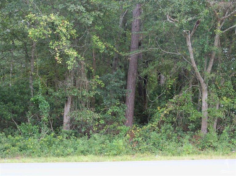2 Boones Neck Road Southwest Supply, NC 28462 - Photo 1 of 4 Primary Photo