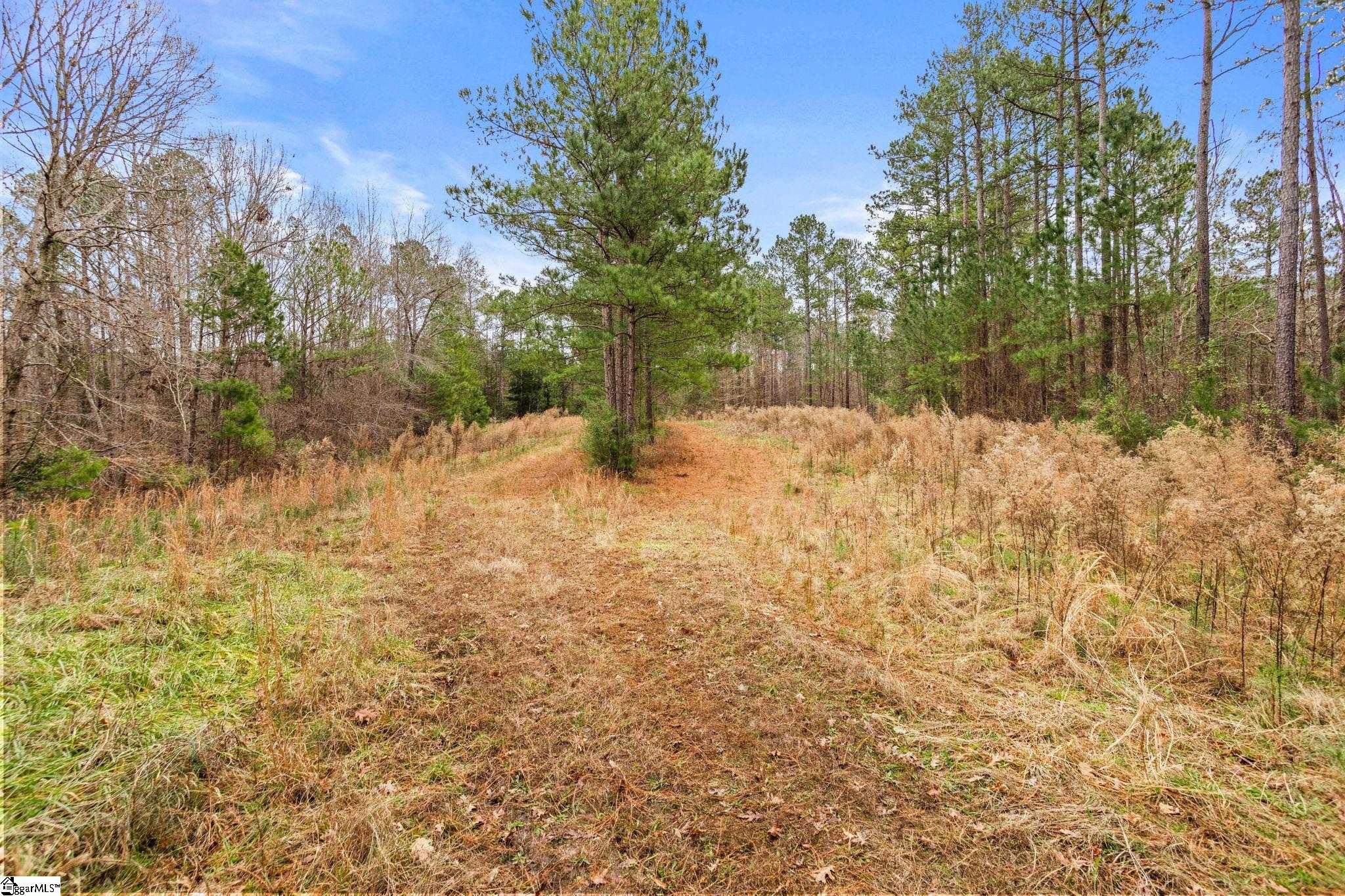 839 Duncan Creek Church Road Clinton, SC 29325 - Photo 45 of 50