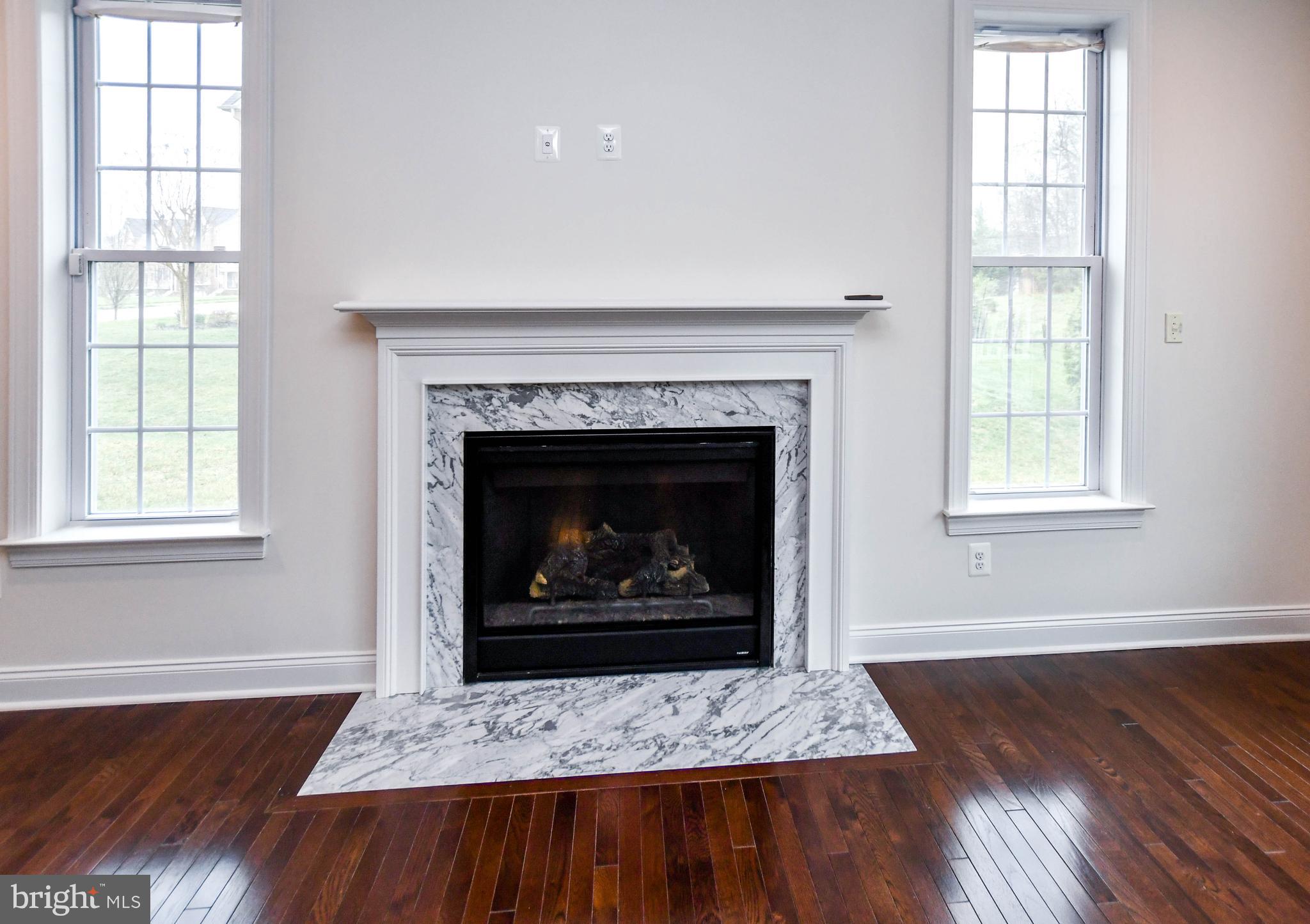 1610 Stream Valley Overlook Severn, MD 21144 - Photo 21 of 86 Fireplace