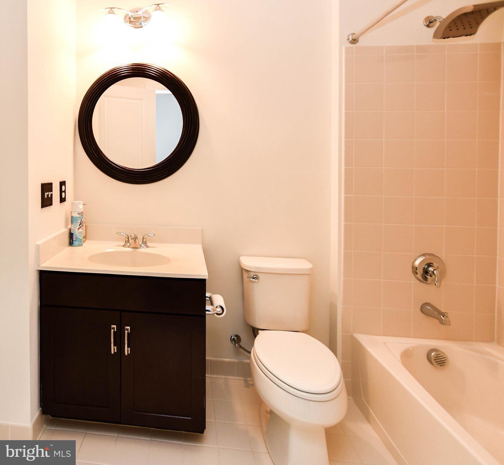 1610 Stream Valley Overlook Severn, MD 21144 - Photo 29 of 86 a bathroom with a sink and a mirror
