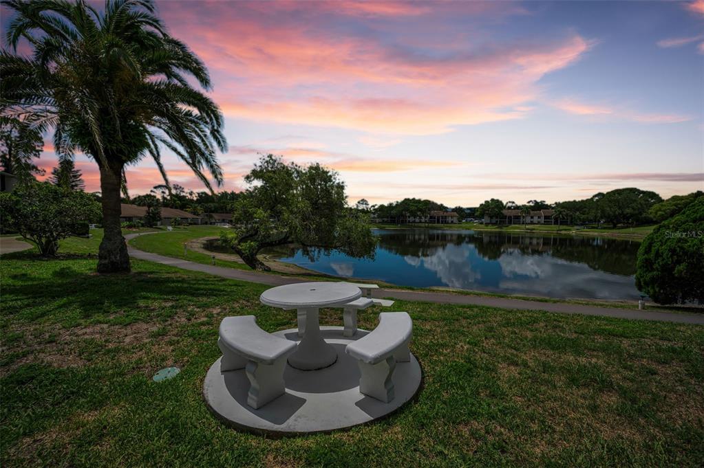 1870 Pine Ridge Way West, Unit G1 Palm Harbor, FL 34684 - Photo 39 of 77