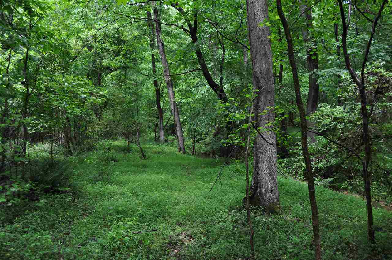 0 Sarratt School Road Gaffney, SC 29341 - Photo 23 of 33
