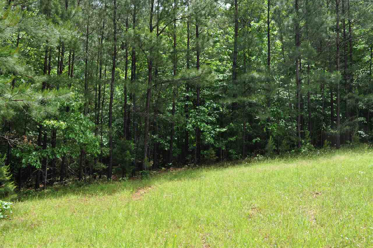 0 Sarratt School Road Gaffney, SC 29341 - Photo 33 of 33