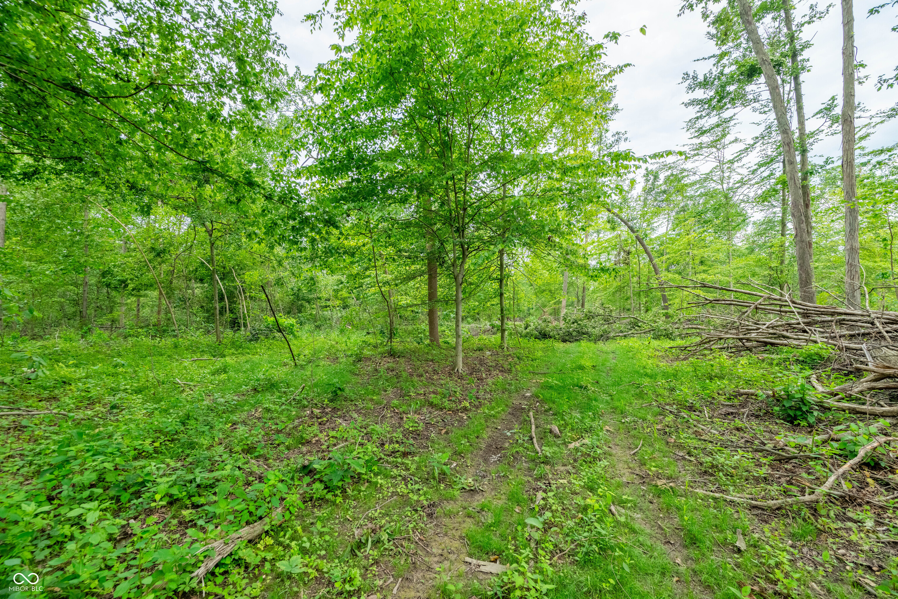 Tract 5 Hudson Hill Road Gosport, IN 47460 - Photo 11 of 20