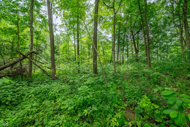 $87,500 | Tract 5 Hudson Hill Road, Gosport, IN 47460