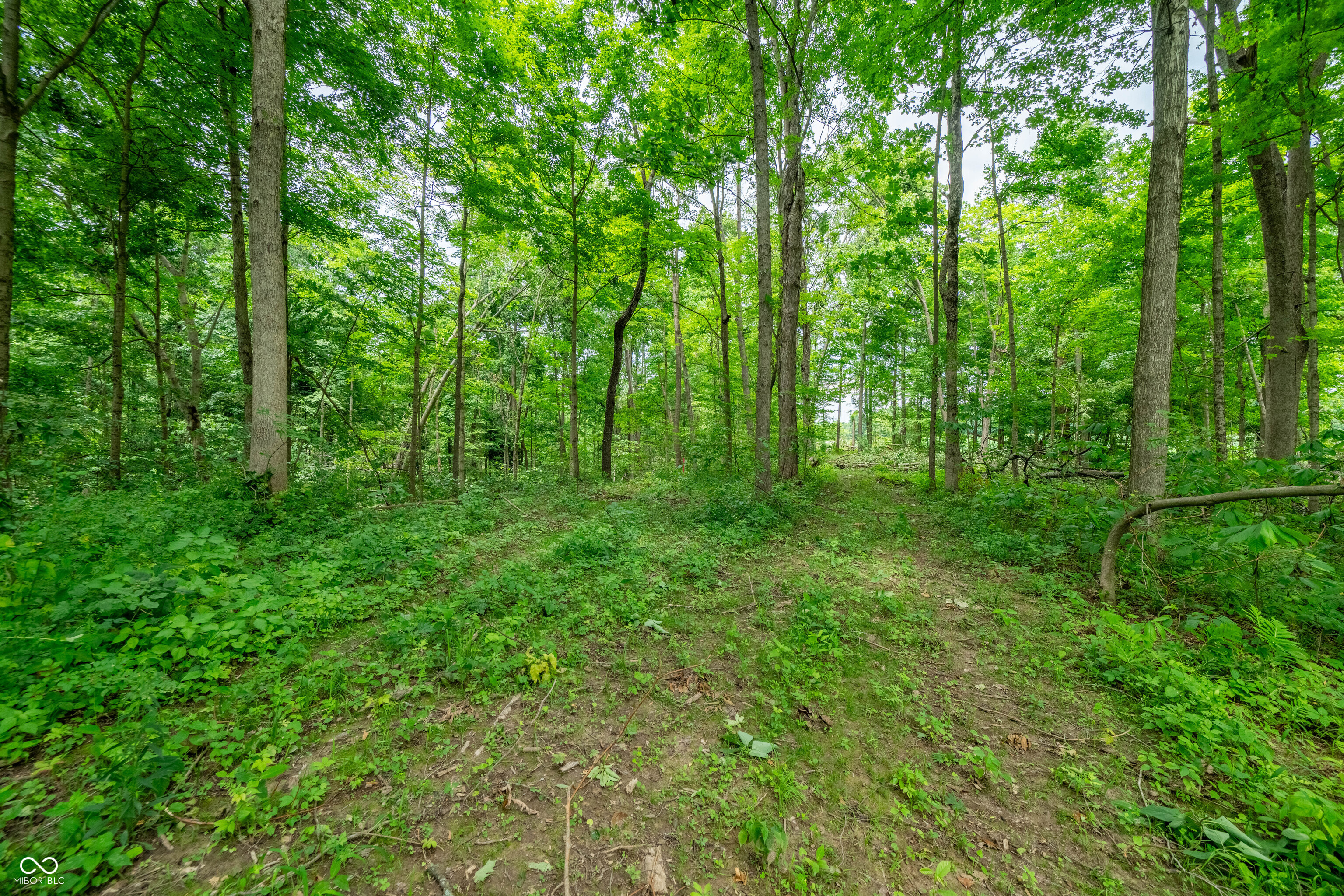 Tract 5 Hudson Hill Road Gosport, IN 47460 - Photo 9 of 20