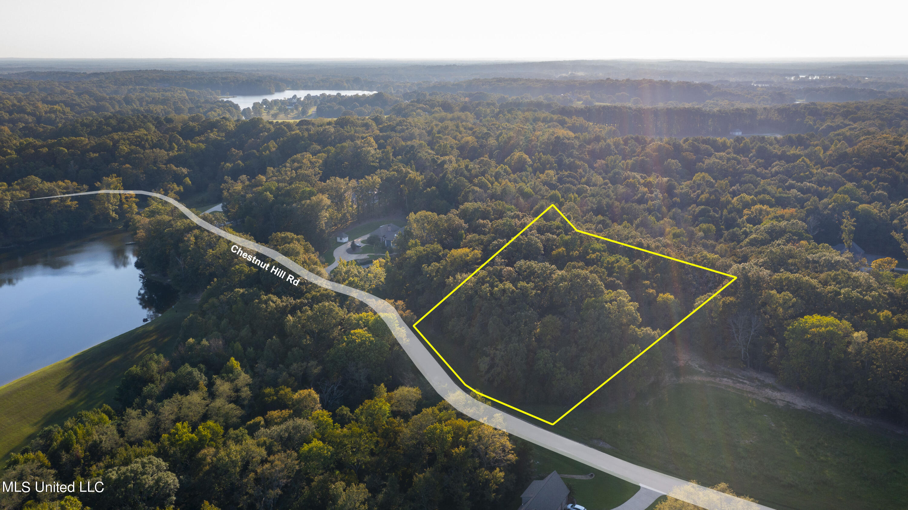 97 Chestnut Hill Road Flora, MS 39071 - Photo 8 of 14 Chestnut-1a